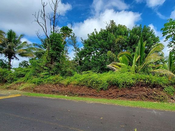 4th image of Lehua Dr Lot 21