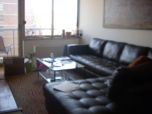 Rented by Citi Habitats | media 4