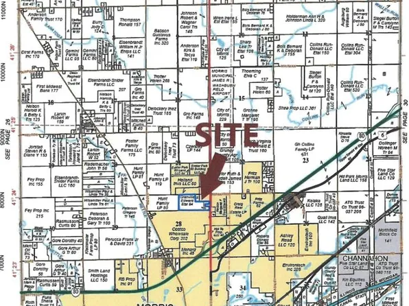 3948 N Division St, Morris, IL 60450