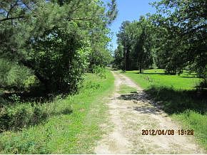 2nd image of Longleaf Rd