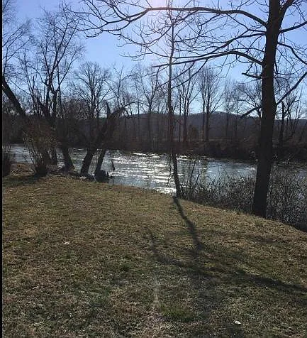 2 bed, 1.5 bath, 1000 sqft, $1,250 — Photo 3