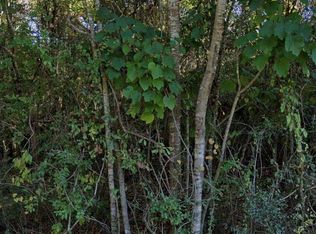 0 Lakeside Cv Lot 149, Carriere, MS 39426