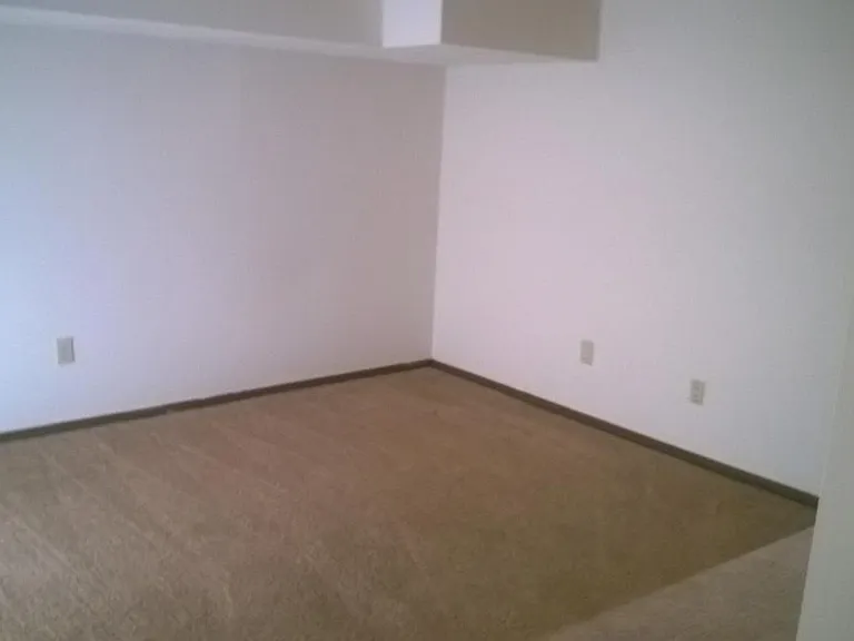 Finished basement room