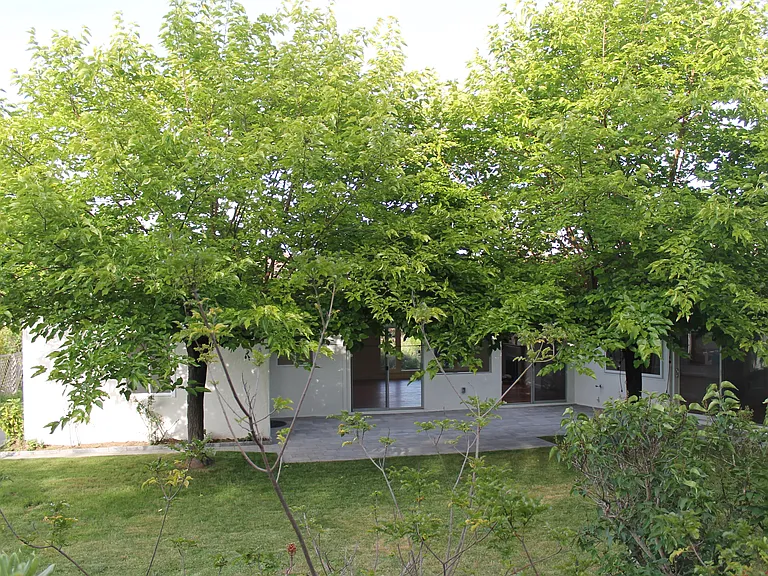 202 E Strawberry Dr — Photo 15