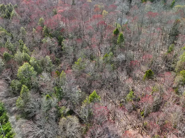 39 Rocky Swamp Rd #39-40, Pocono Lake, PA 18347