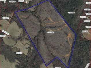 951 Big Island Rd, Rutherfordton, NC 28139