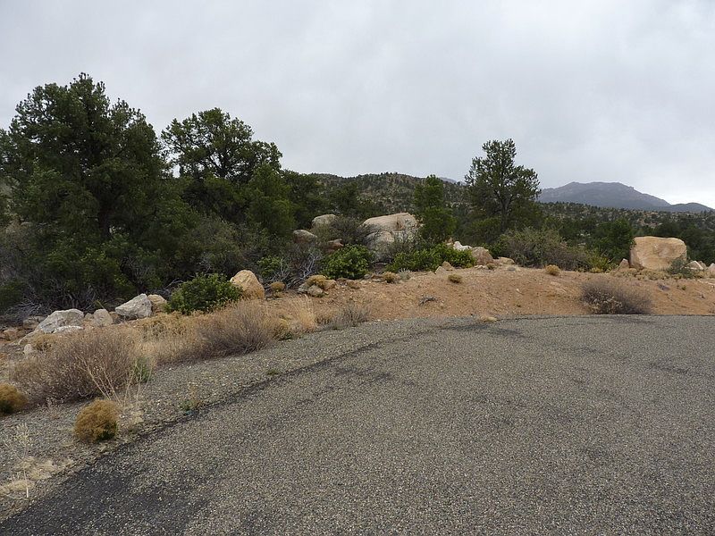 1st image of 12685 N Idalia Cir