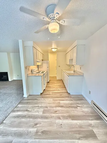 #130 HYDE PARK TERRACE Photo 1
