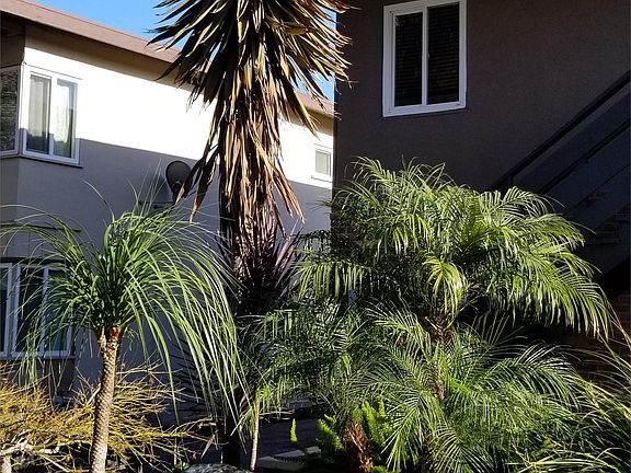 4th image of 1734 Davis St APT 04
