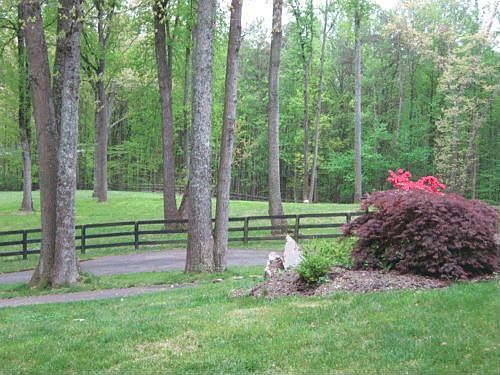 park setting on 5+acres
