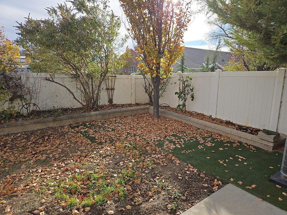 View of back yard to SE.