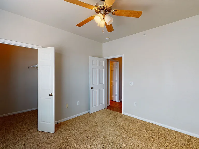 Spacious apartment bedroom with large closet and plush carpet flooring.