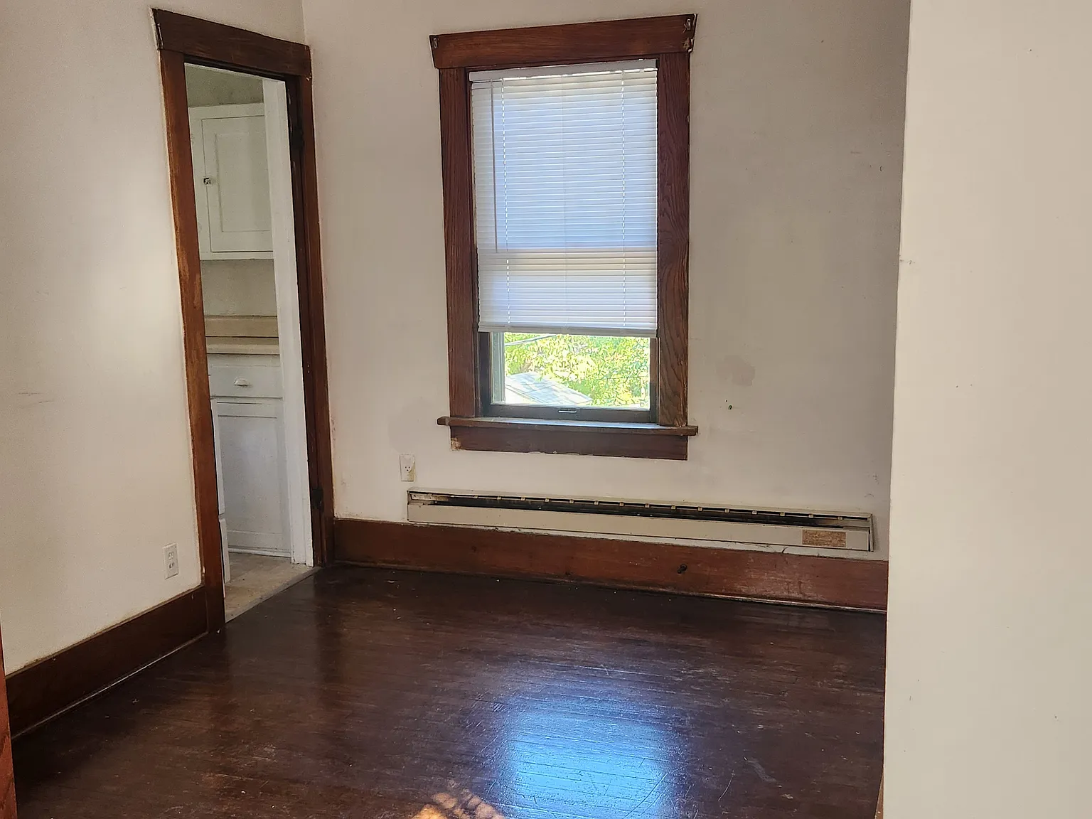 1 bed, 350 sqft, $675 — Photo 2