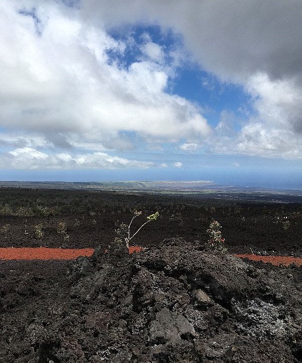 1st image of 92-8226 Pineapple Pkwy Lot 14
