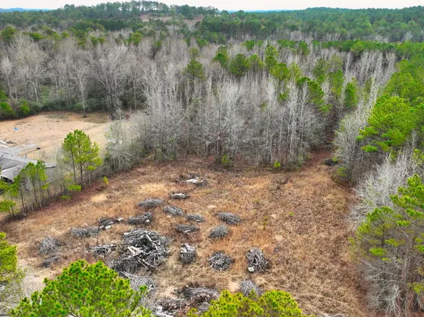 0 Redmill Saragossa Rd, Nauvoo, AL 35578