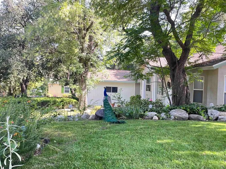 1815 Oak View Ln — Photo 15