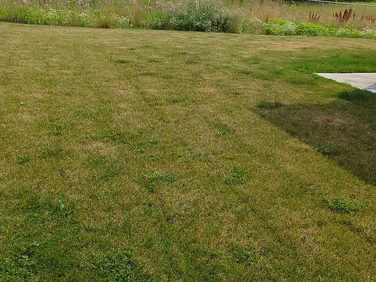 41 Kingsbridge Dr — Photo 10