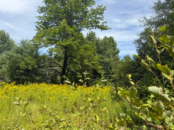 Lot 14 Dead River Road, Bowdoin, ME 04287