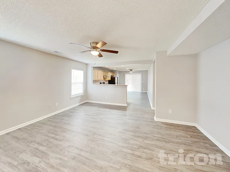 217 Wild Olive Dr — Photo 2