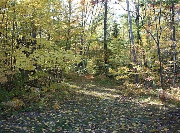 Cross Country Skiing, Walking and Riding Trail