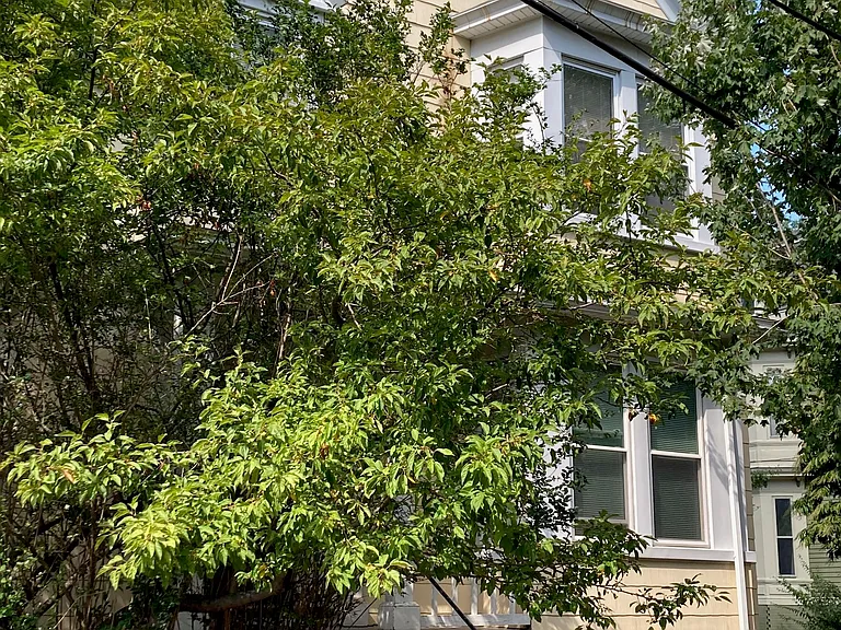 7 Forest St #3-K — Photo 1