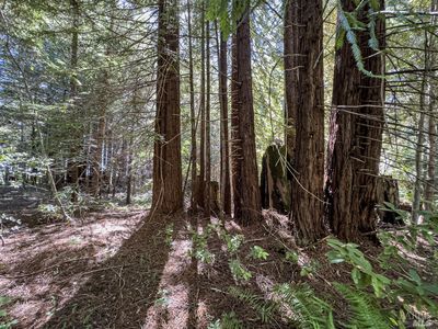 42180 Deer Trail, The Sea Ranch, CA, 95497
