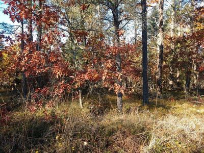 LOT 59 Beaver Creek Trl, Roscommon, MI, 48653