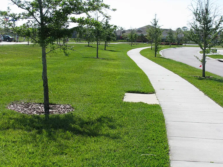 3909 Flowering Orchid Ln — Photo 24