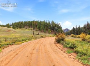 8567 County Road 3, Divide, CO 80814