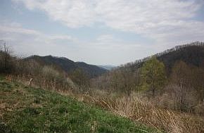 1st image of 218 Cold Springs Trl