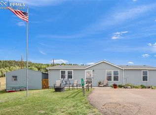150 Will Scarlet Dr, Divide, CO 80814