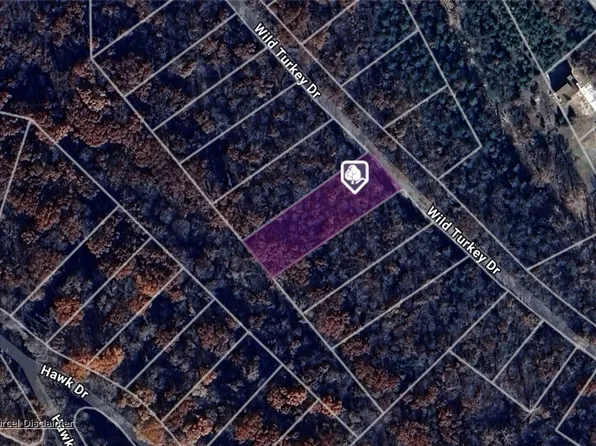 Wild Turkey Dr #15, Eureka Springs, AR 72631