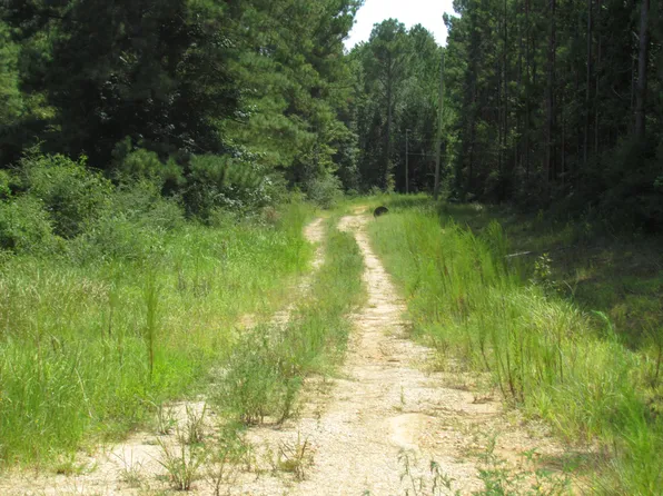 0 Jimmy Reyer Rd, Poplarville, MS 39470