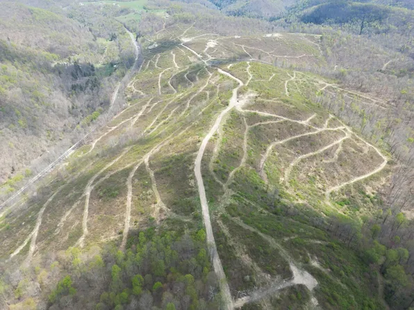 0 Burch Hill Rd Tract B, Terra Alta, WV 26764