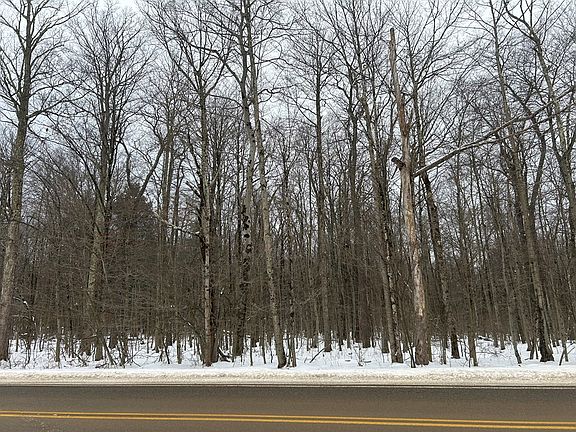 4th image of 0 Cherry Springs Rd