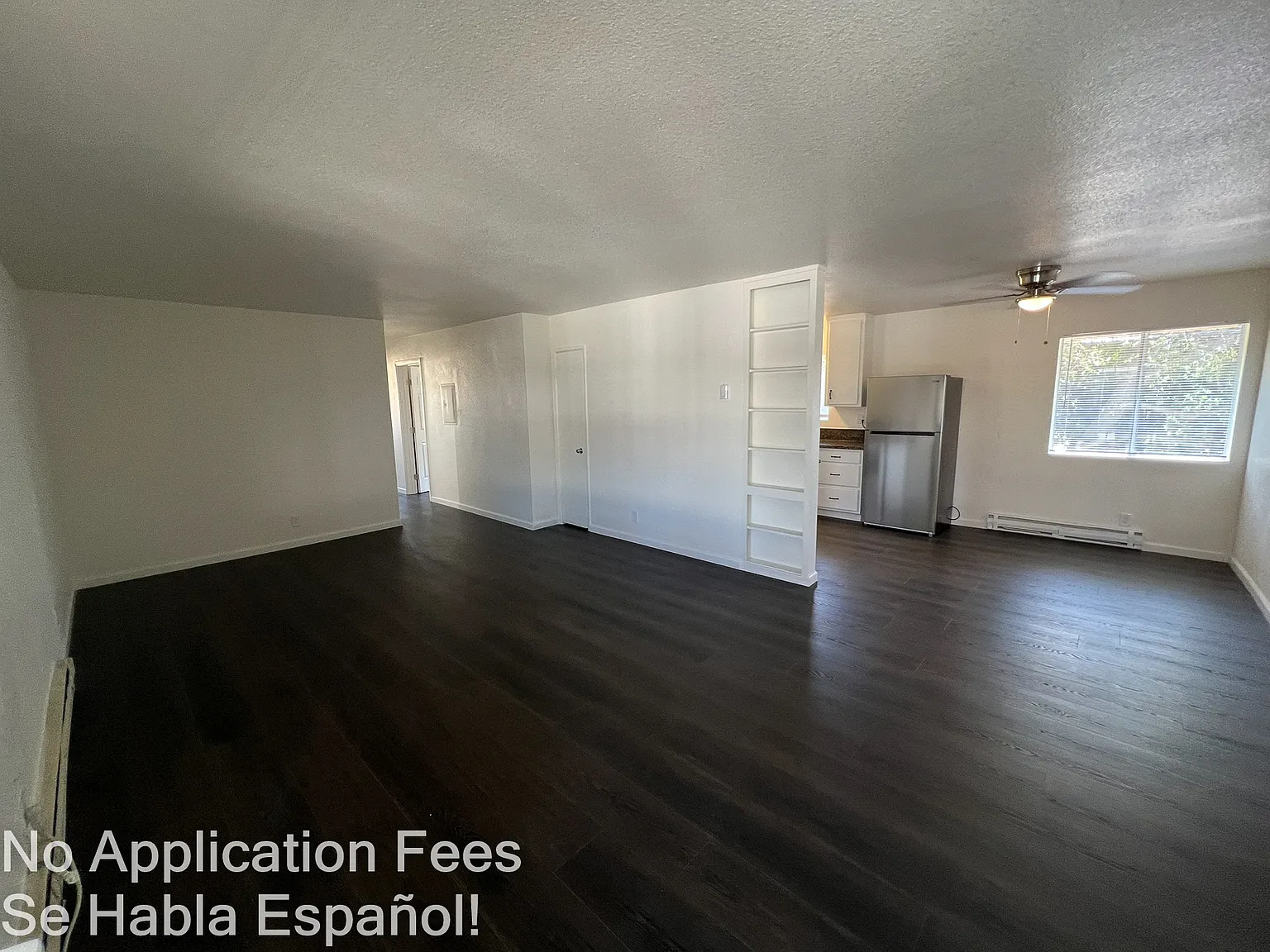 3934 Lugo — Photo 4