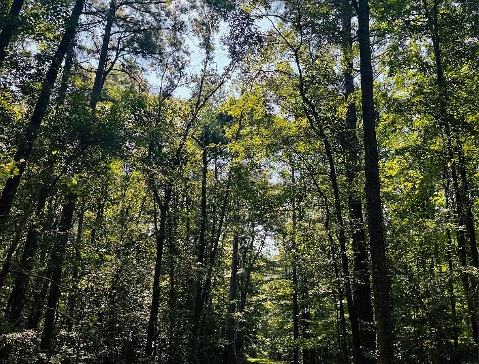 1st image of 625 Private Road 7718