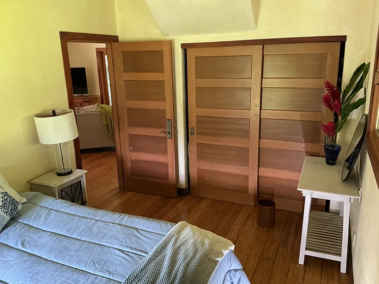 Downstairs bedroom
