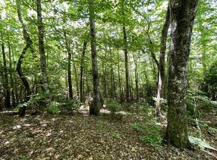 LOT 2 Gateway Ln, Hiawassee, GA 30546