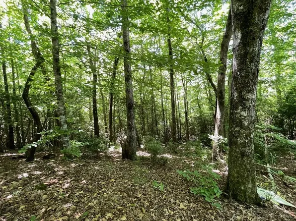 LOT 2 Gateway Ln, Hiawassee, GA 30546