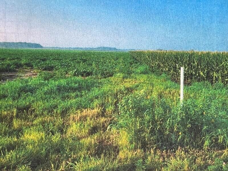 2nd image of 950 South