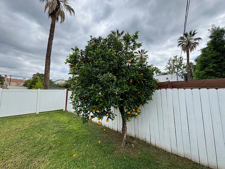 333 S 1st Ave — Photo 8