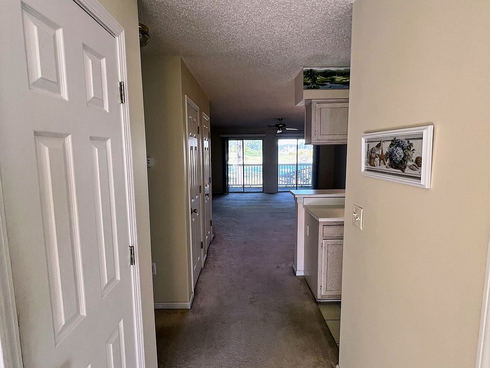 5050 Windsor Green Way #203 Front Hallway_10212025