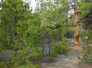 161 Cedar Dr, Twin Lakes, CO 81251