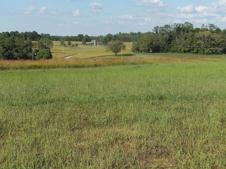 2nd image of 235 Roy Cundiff Rd