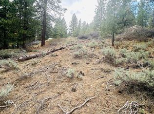 1169 Pine Ct, Portola, CA 96122