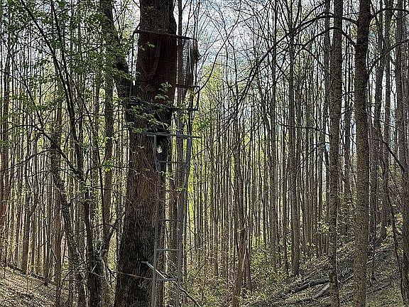4th image of 999 Bee Branch Rd