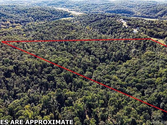 2nd image of Oak Hill Forest Dr