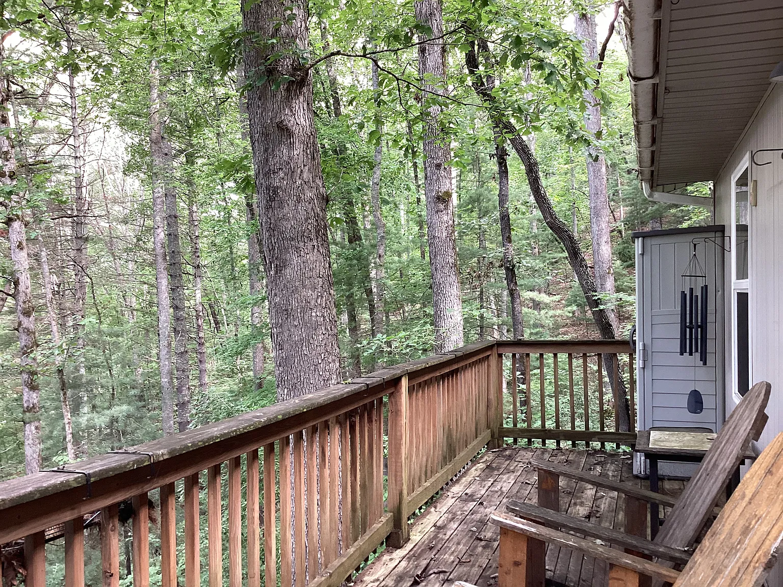 204 Forest Cove Rd — Photo 2