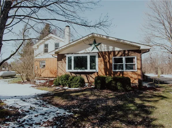 43606 Webster Rd, Wellington, OH 44090